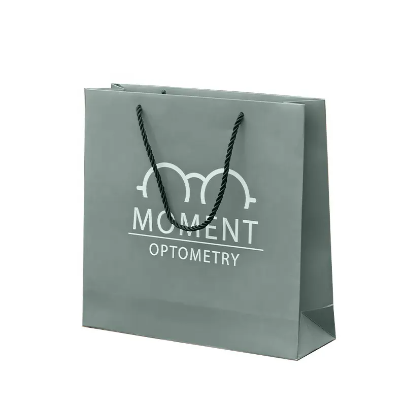 Printed Paper Bags with Logo